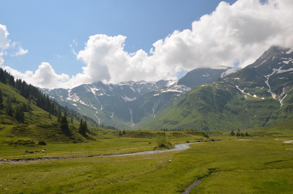 Winklers Gipfelblick Chalet, Inklusive Alpentherme - Ganzjaehrig, Gasteiner Bergbahn - Nur Sommer Bad Hofgastein Εξωτερικό φωτογραφία